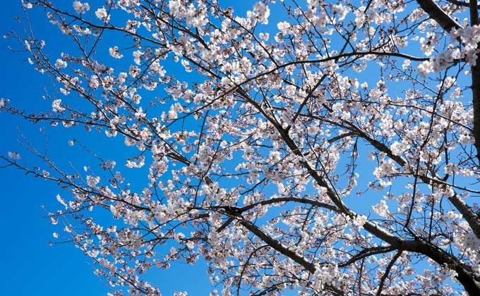2017年1月2月3月