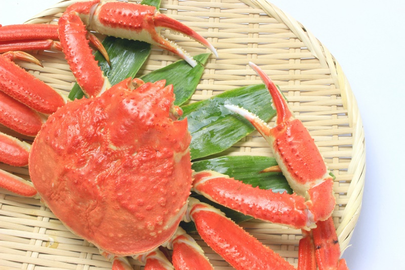 紋別漁師食堂 蟹 アイキャッチ